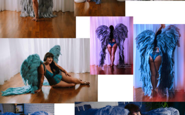 WINGS